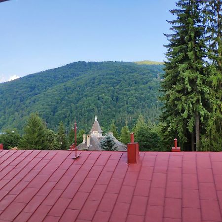 Cozy Loft At Teleferic Lägenhet Sinaia Exteriör bild