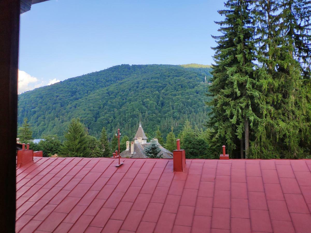 Cozy Loft At Teleferic Lägenhet Sinaia Exteriör bild